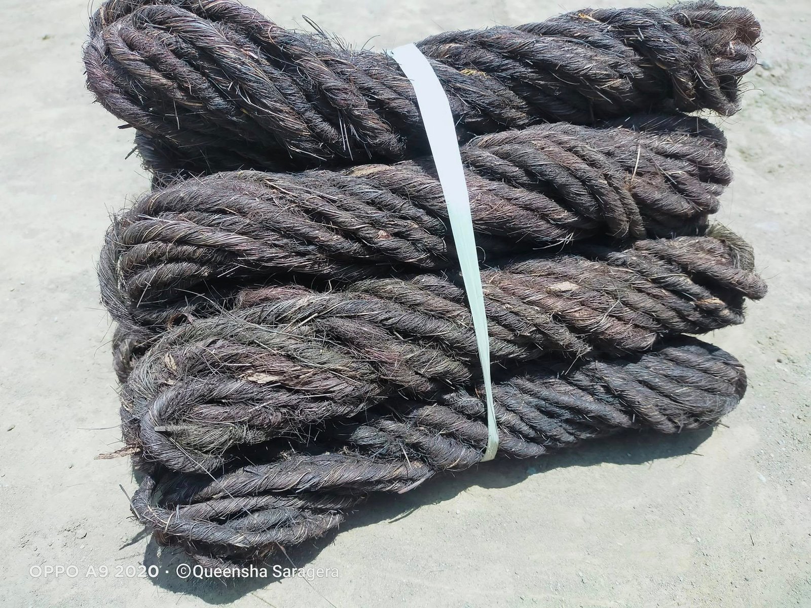 Seghu Nao: Tali Adat yang Menyambung Leluhur, Alam, dan Generasi Masa Kini